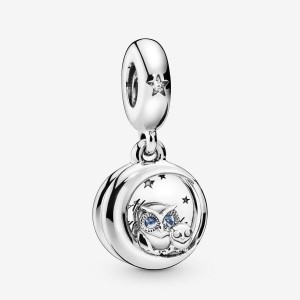 Pandora Always by Your Side Owl Dangle Charms Sterling silver | 79615-VHDW