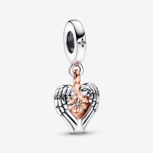 Pandora Celestial Compass Angel Wings Dangle Charms Two-tone | 73894-GNDR