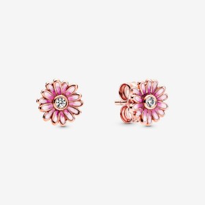 Pandora Pink Daisy Flower Stud Earrings Rose gold plated | 89162-CABJ
