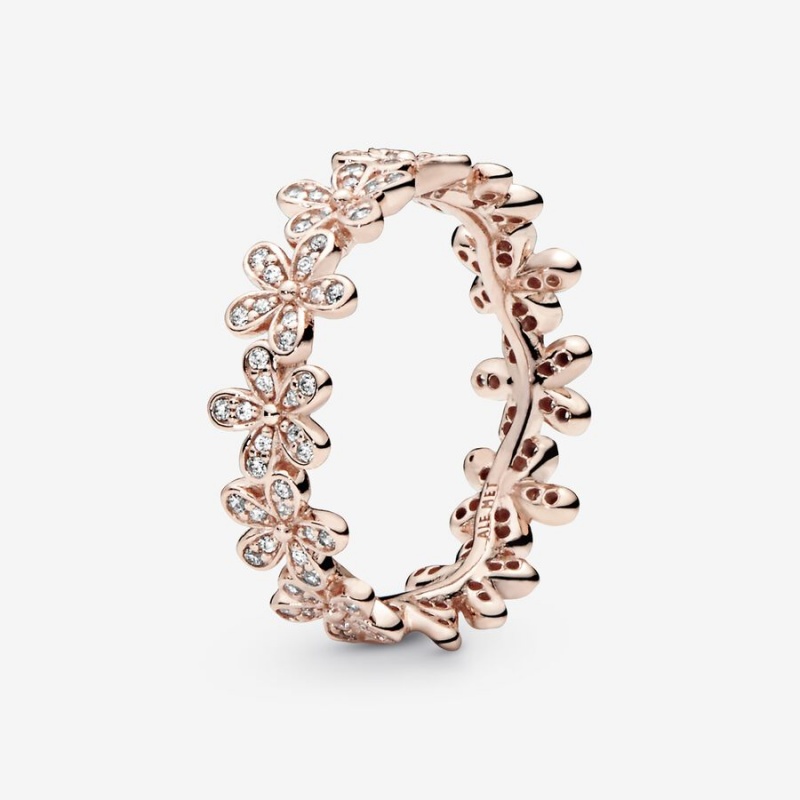 Pandora Dazzling Daisy in & Clear CZ Band Rings Rose gold plated | 24381-ZBUI