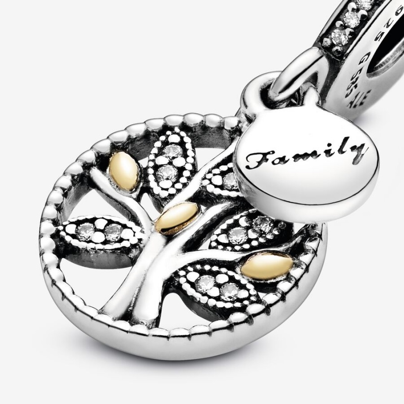 Pandora Family Heritage with Cubic Zirconia Dangle Charms Two-tone | 64958-DCIX