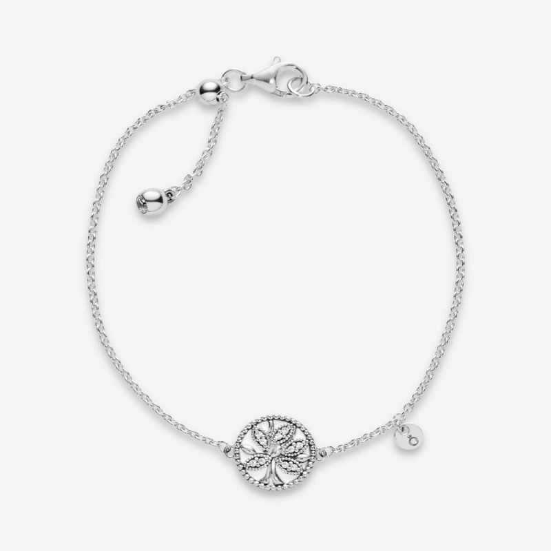 Pandora Family Tree Safety Chains Sterling silver | 86945-BJNZ
