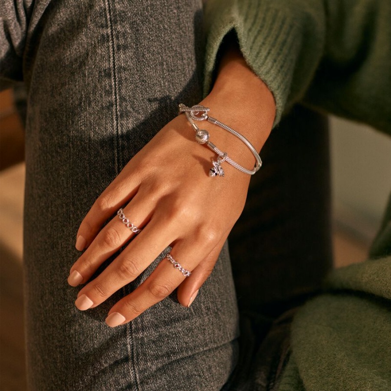 Pandora Mesh Charm Bracelets Sterling silver | 97024-OUKF
