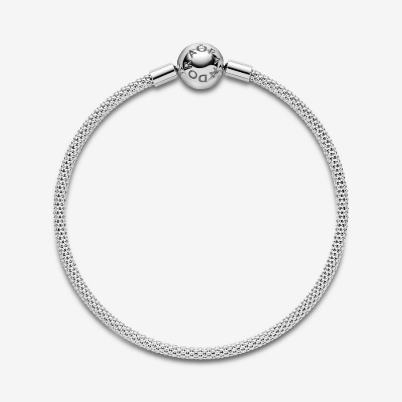 Pandora Mesh Charm Holders Sterling silver | 10382-DBGL