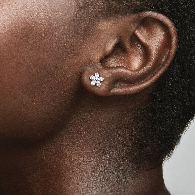 Pandora Sparkling Snowflake Stud Earrings Sterling silver | 71645-ZKNB